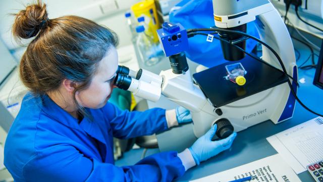 Woman using microscope in the lab