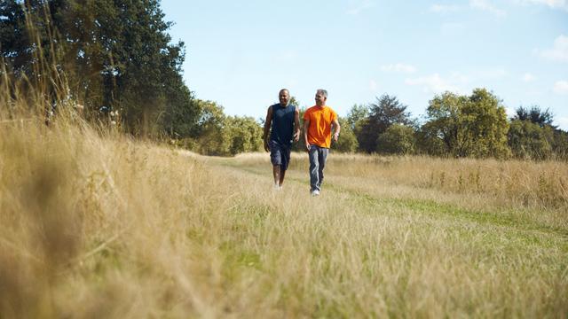 Two men walking through a field at a distance.