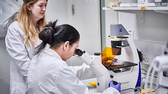 researchers in lab