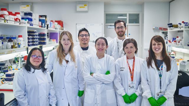 A group of researchers in the lab