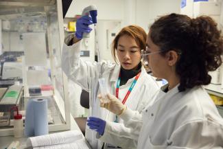 Scientists conducting research in the lab.