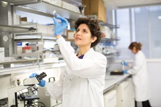 Scientist looking at a microscope slide in the lab.