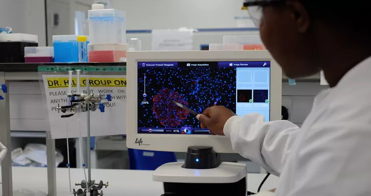 A Diabetes UK researcher in a lab looking at results on a lab computer screen