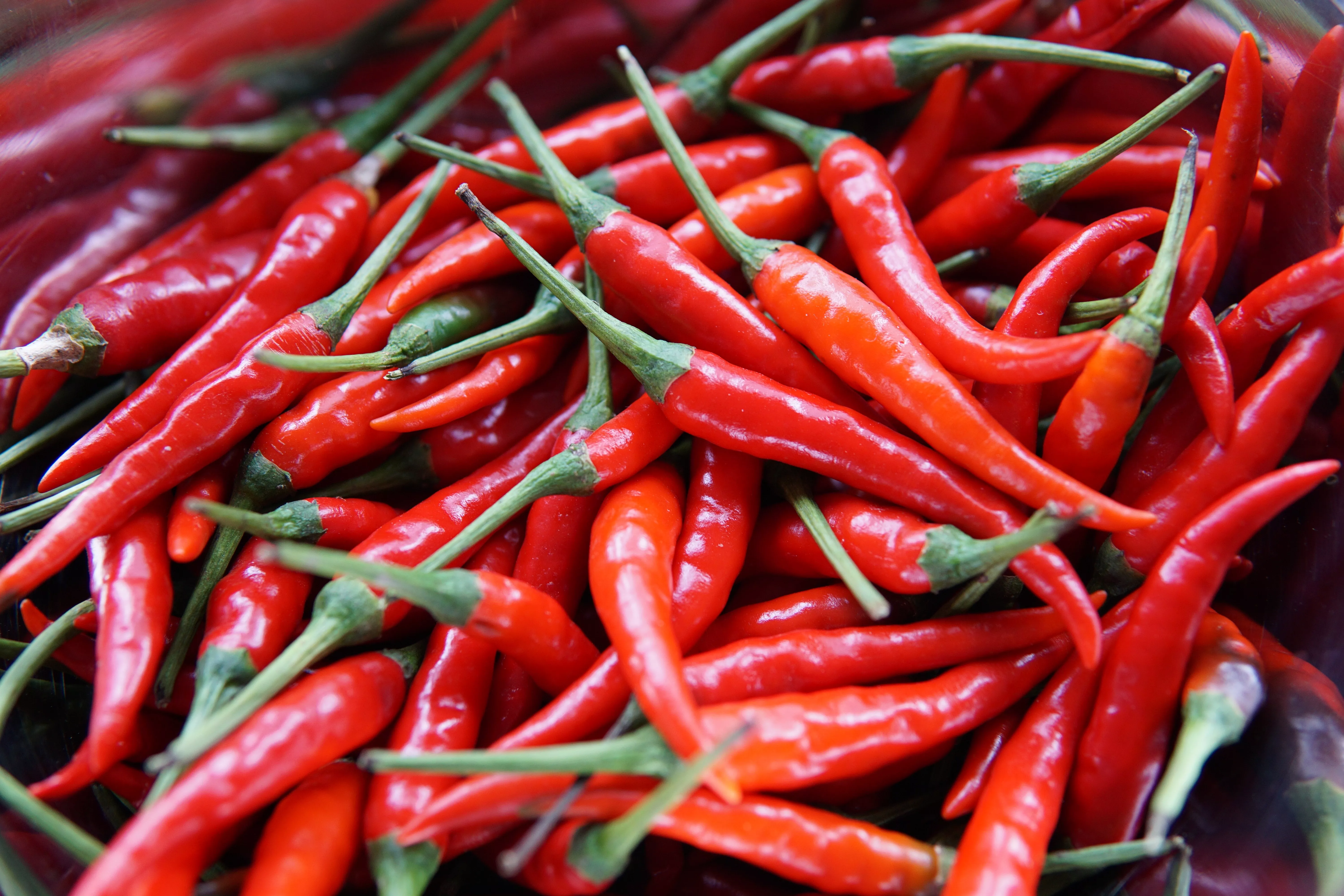 A spicy pile of red chillis