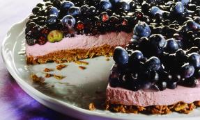 Blueberry yogurt cake with muesli base