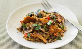 Barley and wild mushroom risotto